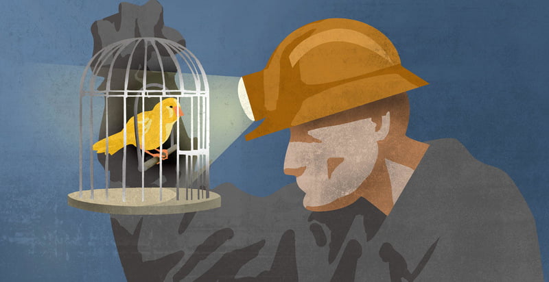 warrant-canary Warrant Canary